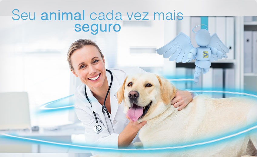 Seu animal cada vez mais seguro