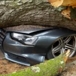 Seguro auto para carro financiado: é obrigatório?