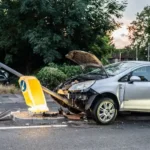 Seguro auto cobre colisão com animal na pista? Entenda as regras