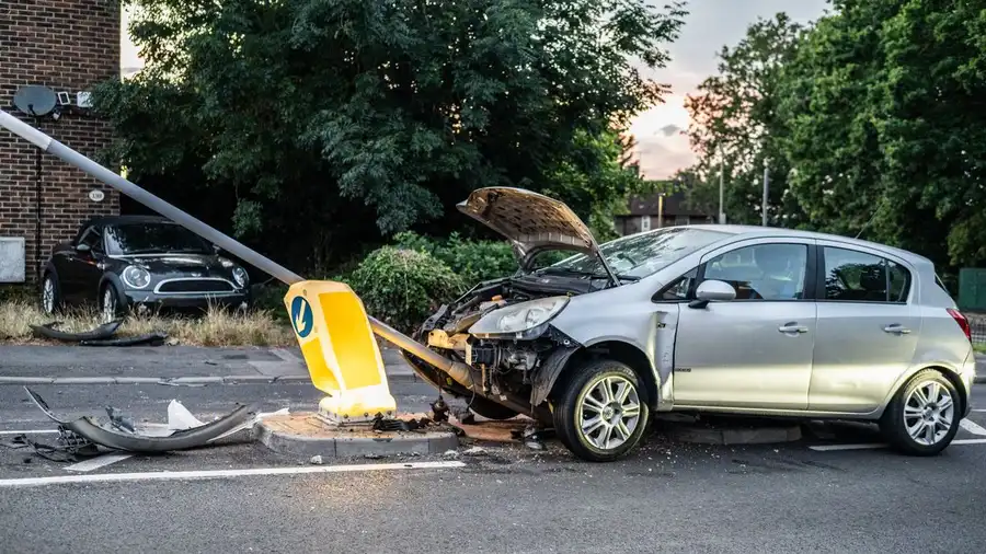 Seguro auto cobre colisão com animal na pista? Entenda as regras